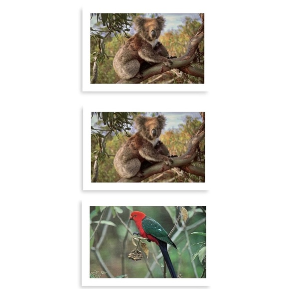 Australian Wildlife Photography Greeting Cards - Picture 3 of 16